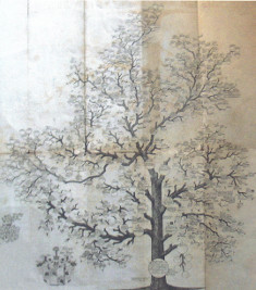 Ősfa kép